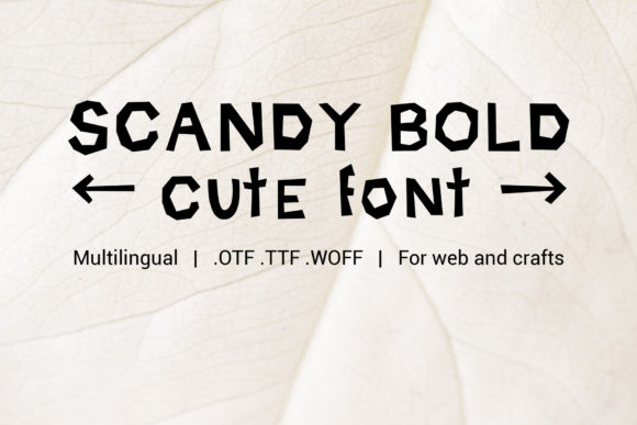 Scandy Bold: A Designer’s Practical Review